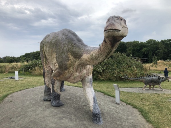 Dinosaurier im Museum Natur Bornholm